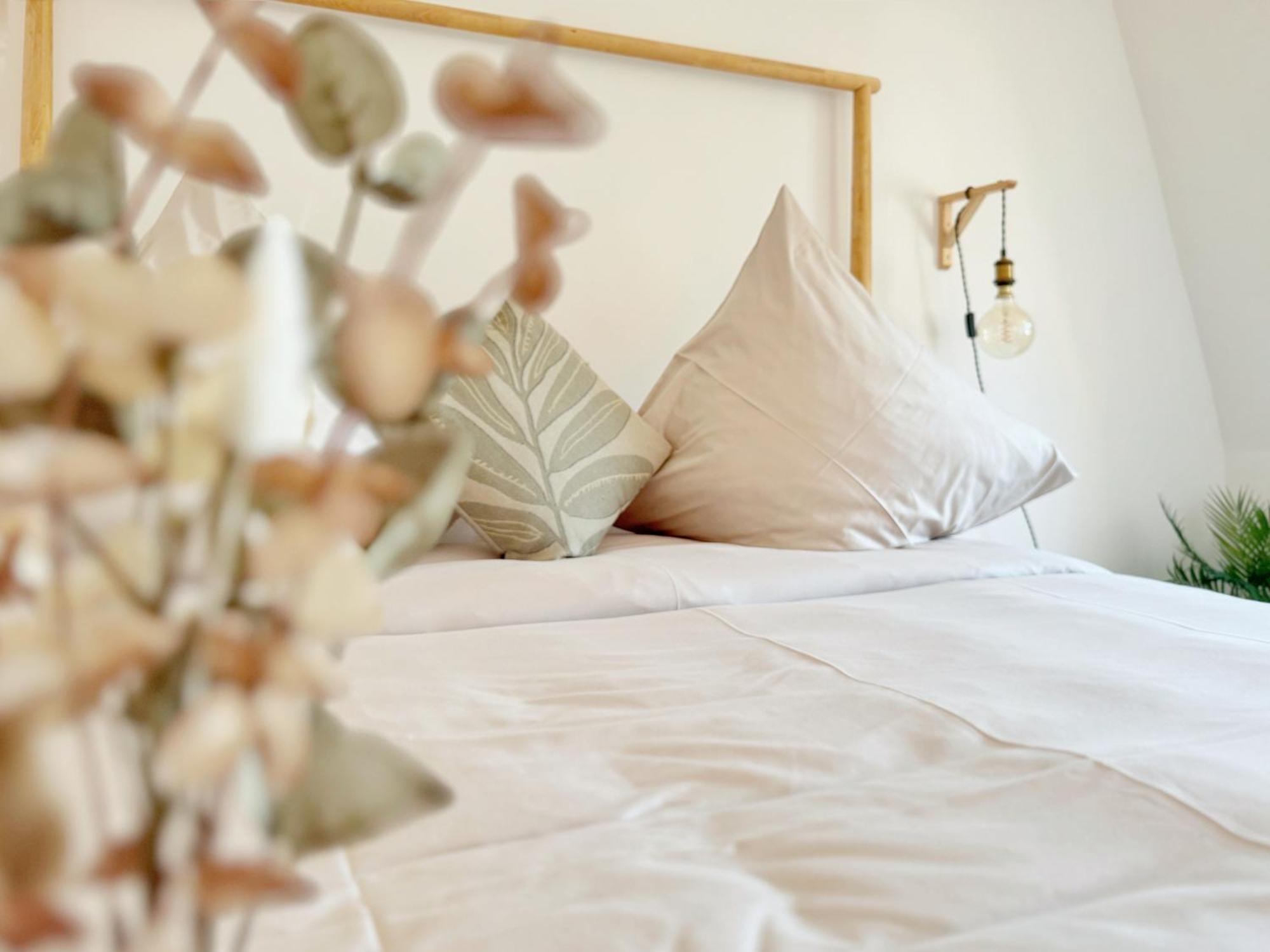 Deichstadt Apartments Neuwied Εξωτερικό φωτογραφία